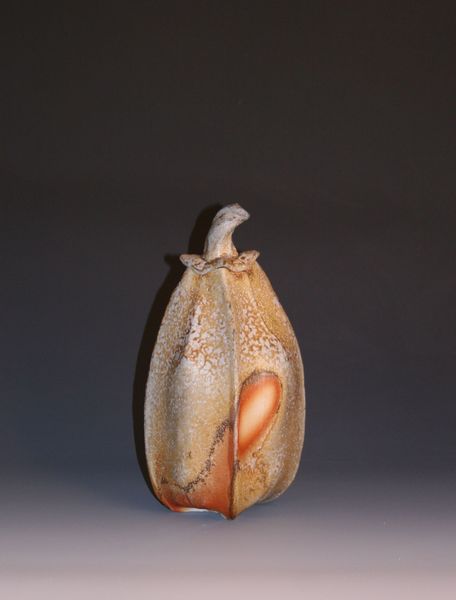 Lidded bottle/hanaire,  Tony Moore kiln, SOLD