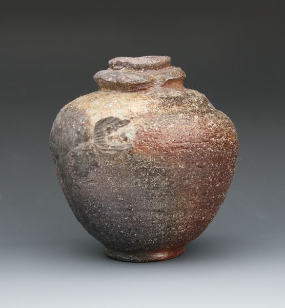 Shiga clay, fired at Dix kiln in Sasayama