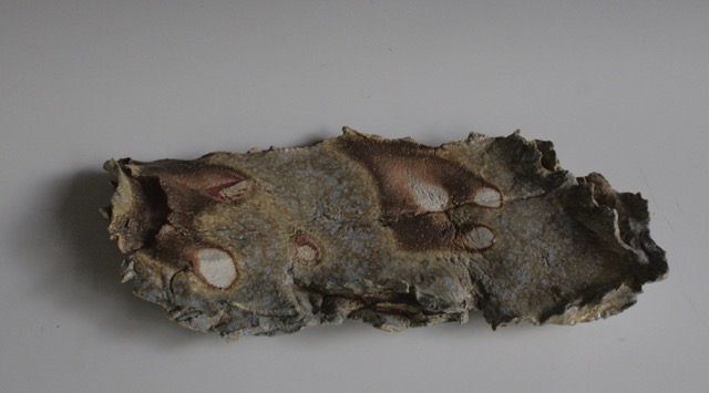 Wall Sculpture, Andrea Kimball, 2015 Dix firing at the OkiDokiAnagama
